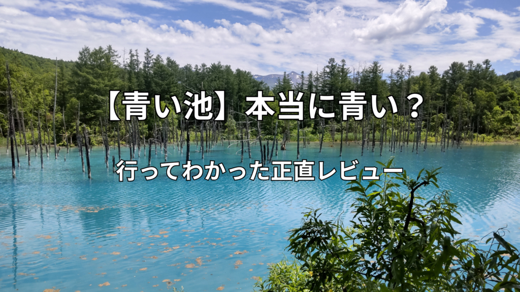 【道後温泉本館レビュー】実際に入ってみた正直な感想と混雑状況 - サツキのはてなメモ
